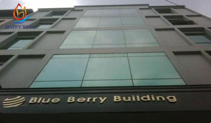 Nhìn bao quát tòa nhà Blue Berry Building